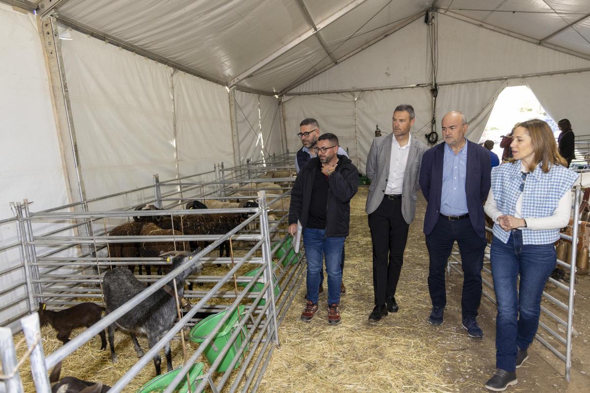 Archivel acoge la IX Feria del Cordero Segureño y la Ganadería Extensiva