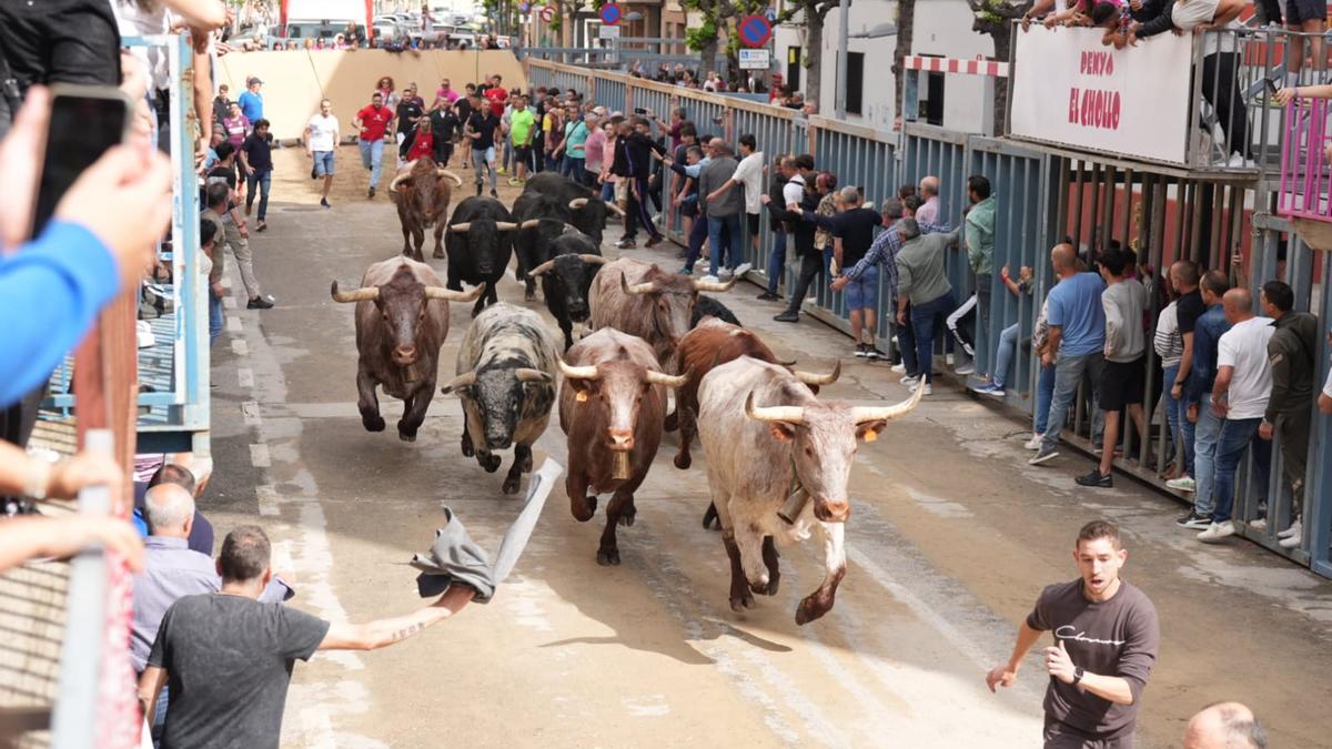 Así ha sido el encierro de las fiestas de Sant Pasqual 2025 en Vila-real