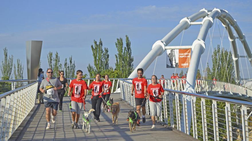 La 4ª Can-carrera popular de Valencia abre el plazo de inscripciones