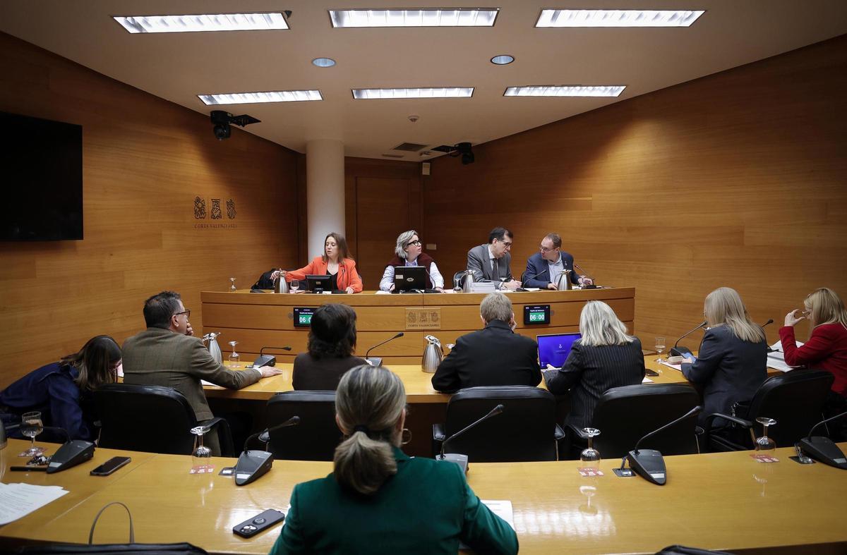 Comisión de Familia, Política Social e Igualdad de Les Corts