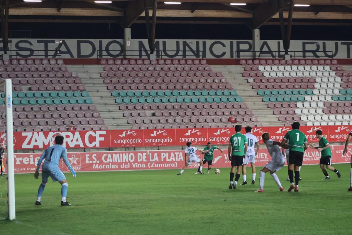 GALERÍA | El empate del Zamora CF, en imágenes