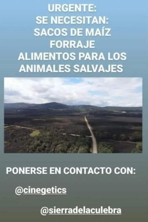 Mensaje en redes para ayudar a los animales salvajes afectados por el incendio.