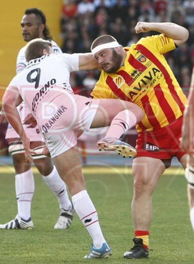 USAP Perpignan, 31 - Toulon, 46