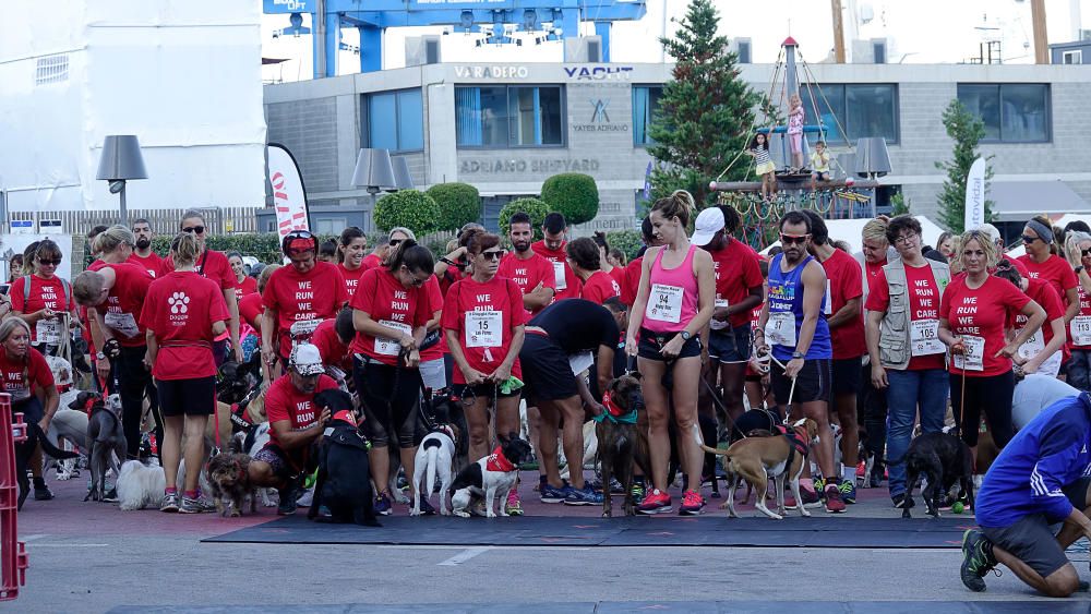 Doggie Race, II Carrera solidaria en Port Adriano
