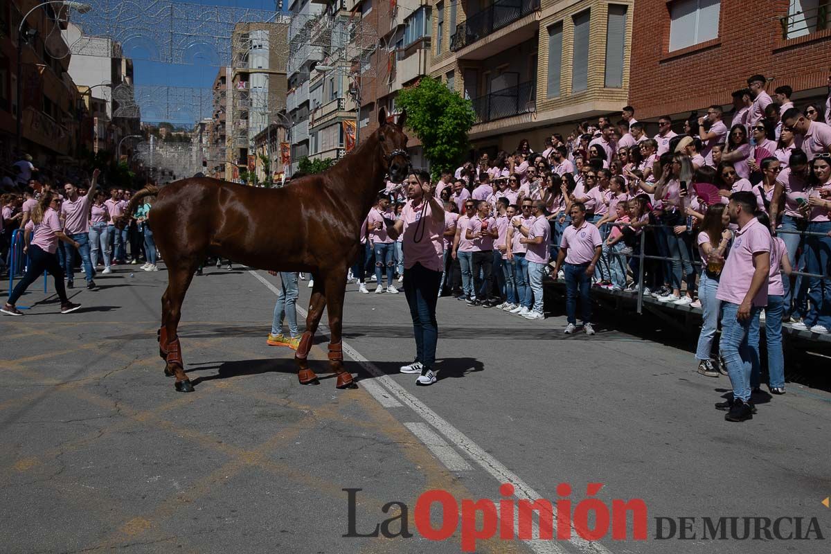 Pasacalles caballos del vino al hoyo