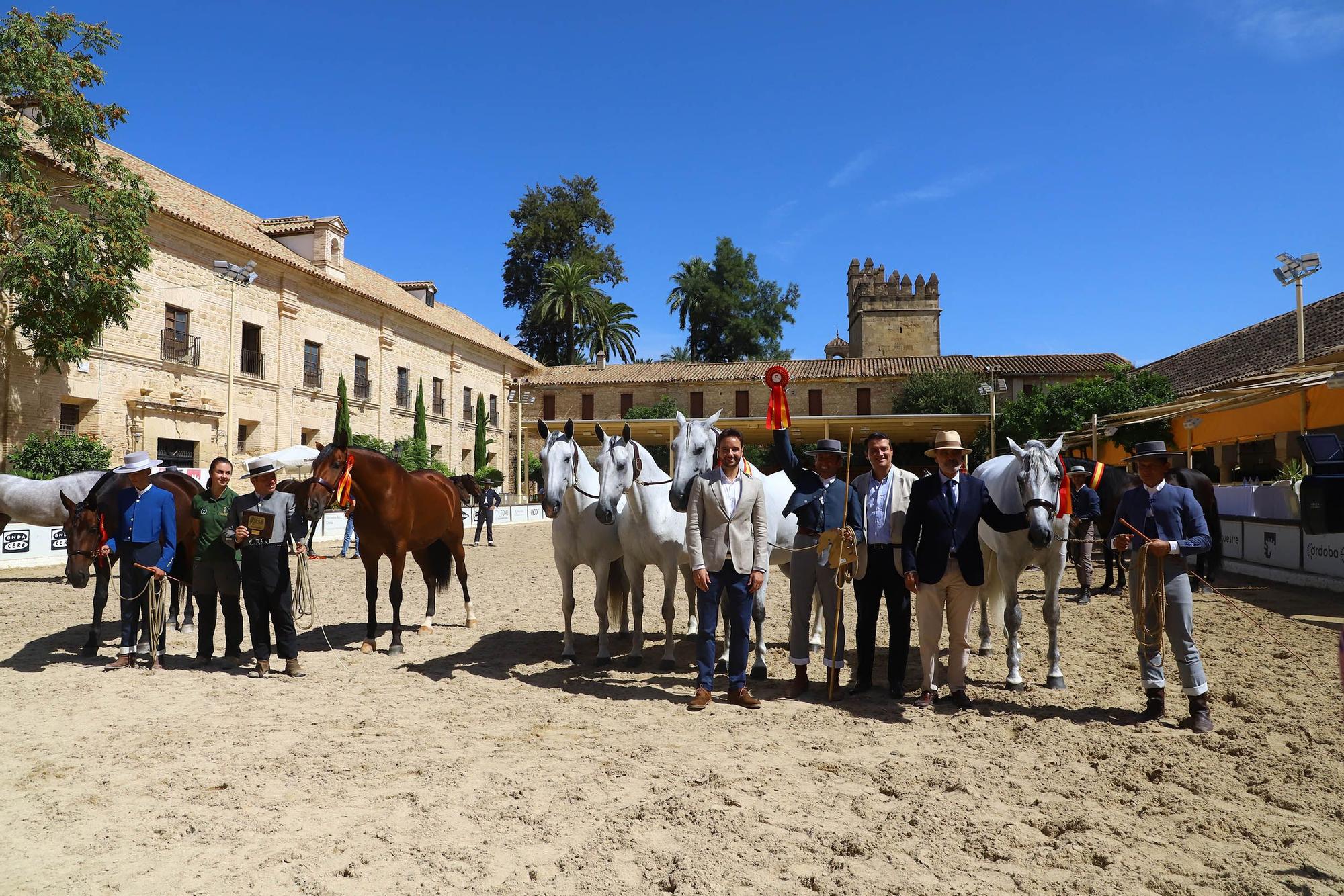 Cabalcor hace entrega de los premios especiales del concurso morfológico