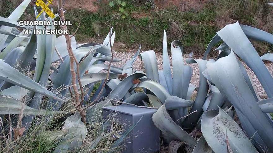 La caja de caudales arrojada a un torrente de Palma tras ser sustraída en un domicilio de Inca.