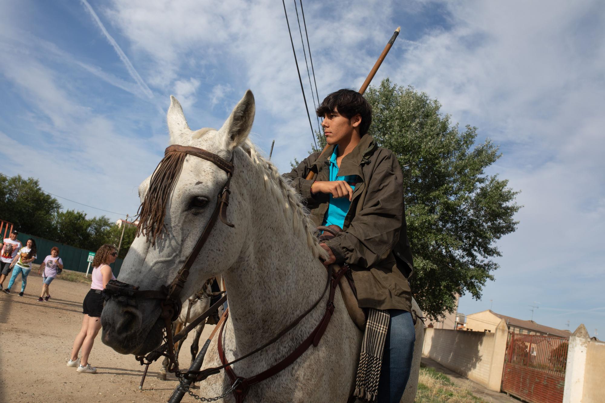 GALERÍA | Tradicionales espantes de Fuentesaúco