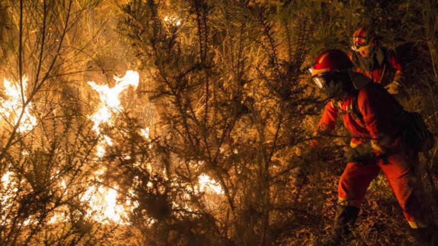 El fuego calcina en la última semana dos mil hectáreas en Galicia