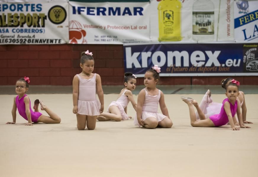 Exhibición de la Escuela de gimnasia rítmica