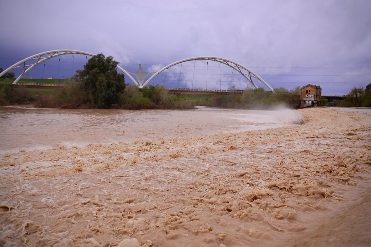 El Ayuntamiento de Córdoba declara la situación de “preemergencia” ante el riesgo de posibles inundaciones