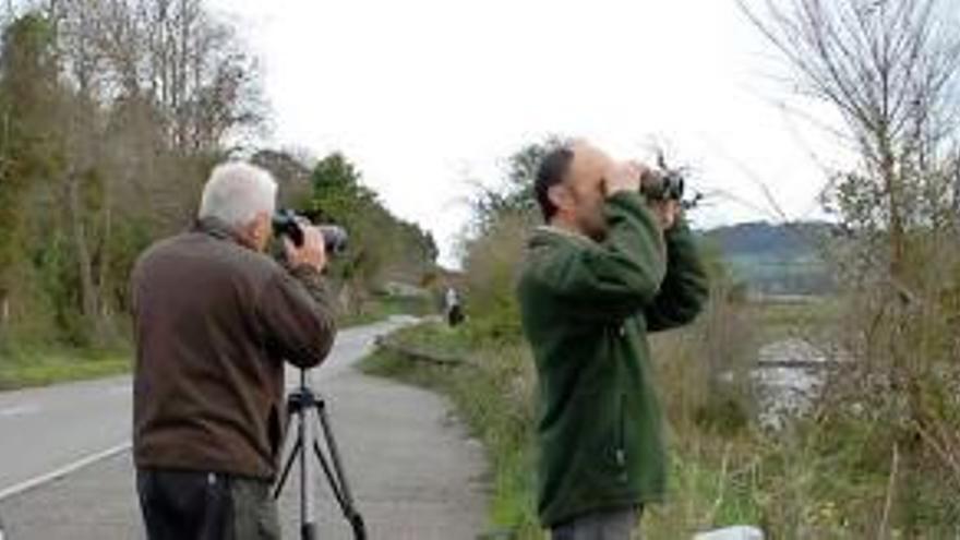 El guarda mayor Ismael Sampedro, el director de la Reserva de la Ría de Villaviciosa, Antonio Alba, y el guarda Marino Martínez observan aves frente al centro de interpretación de la ría. | m. menéndez / t. cascudo / l. blanco