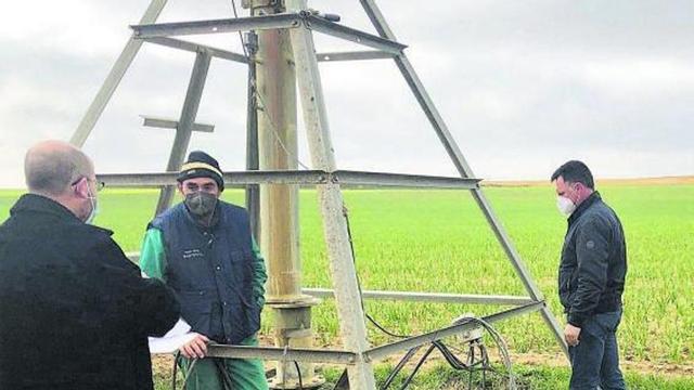 Tecnicos del Ajo y Torguvi examinando una plantación de ajo en Fuentespreadas. |