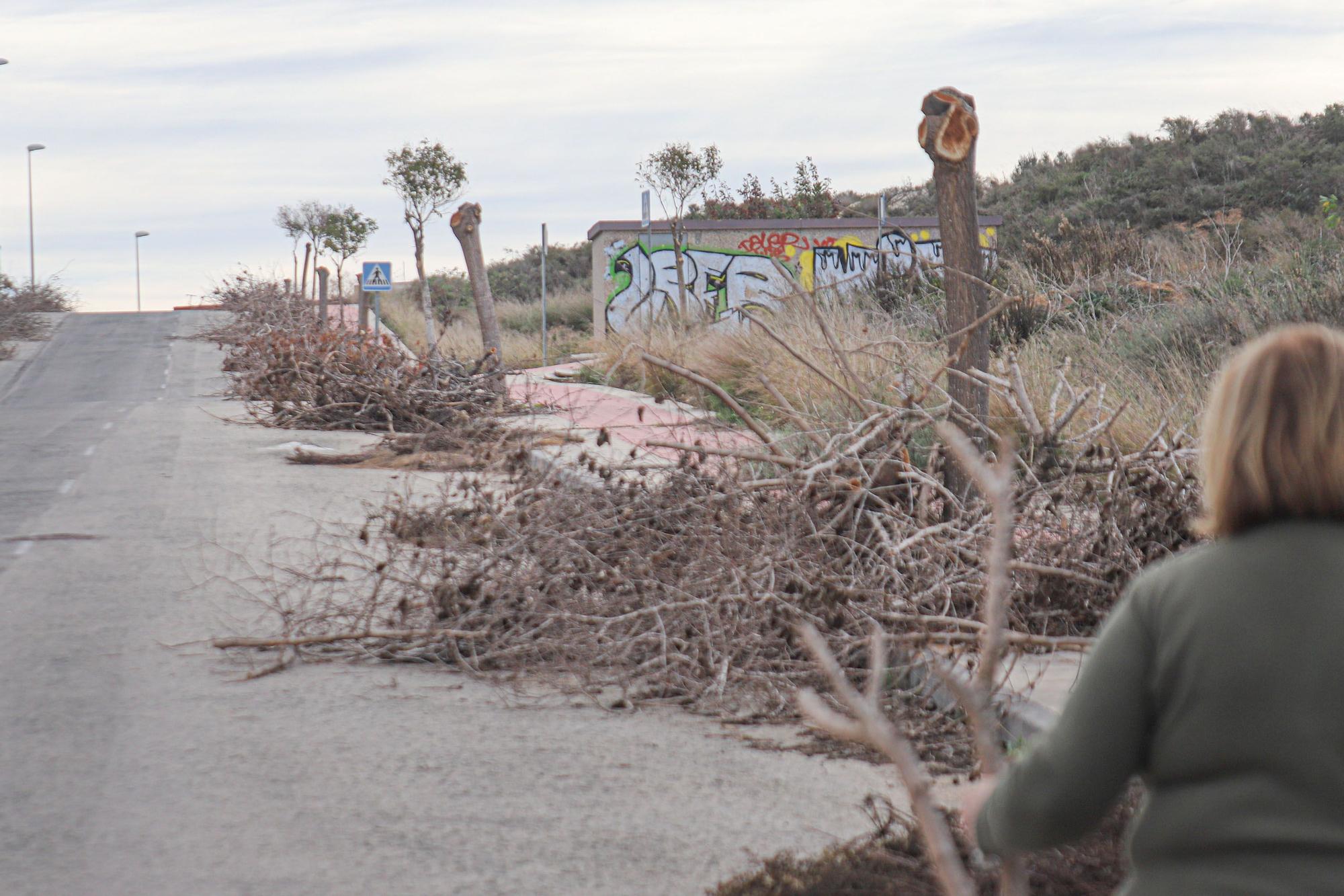 Trabajos de limpieza en la urbanización de Los Invernaderos en San Miguel de Salinas