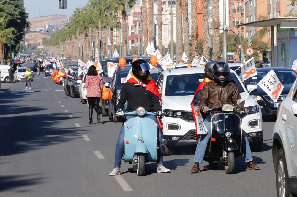 Miles de murcianos protestan en las calles contra la ley Celaá