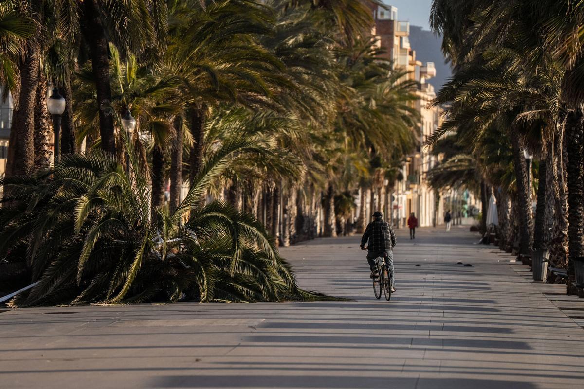 BADALONA 12/02/2026 Sociedad. Temporal de viento en badalona. Foto de Zowy Voeten