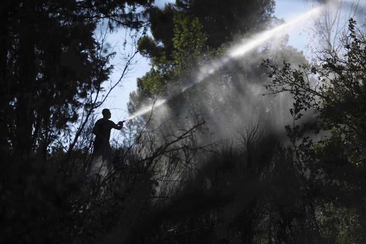 Unos 250 bomberos operan en la zona.