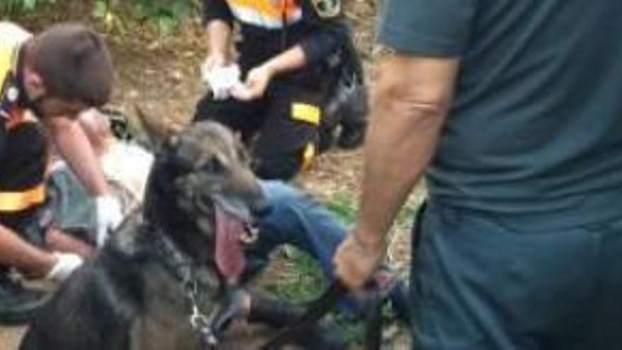 Un pastor alemán localiza a un octogenario tras tres días caído en un barranco