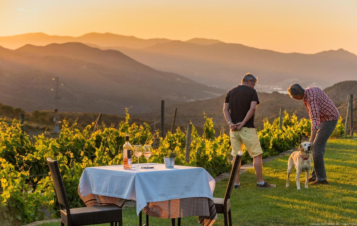 Celler de Perafita de Martín Faixó. Cadaqués, Alt Empordà, juny de 2019.