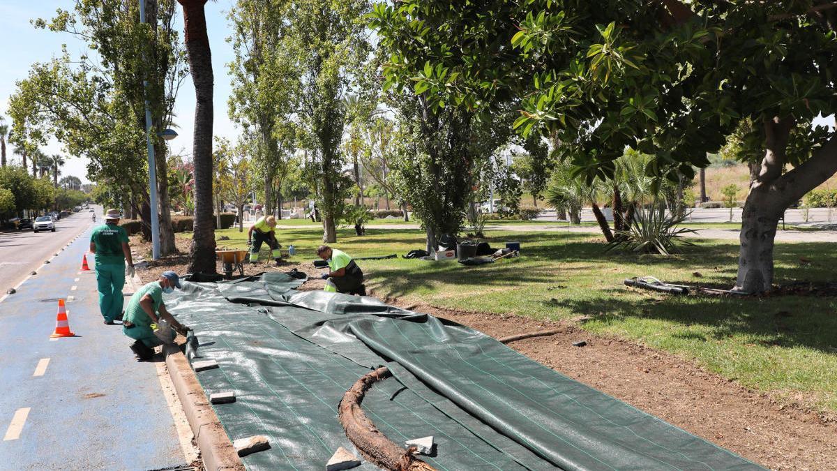 Operarios actúan en uno de los tramos de la avenida del Mediterráneo