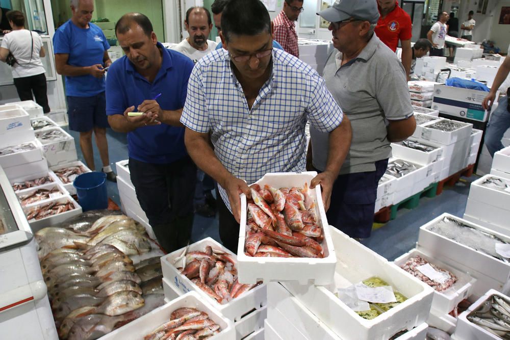 Así es un día de trabajo en la pescadería de Mercamálaga