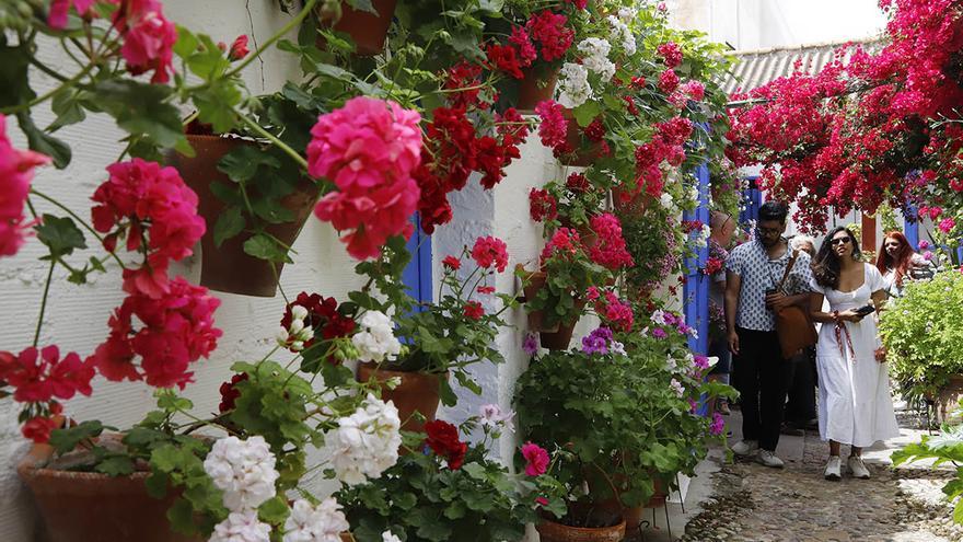 La ruta 1 de los Patios de Córdoba, en imágenes