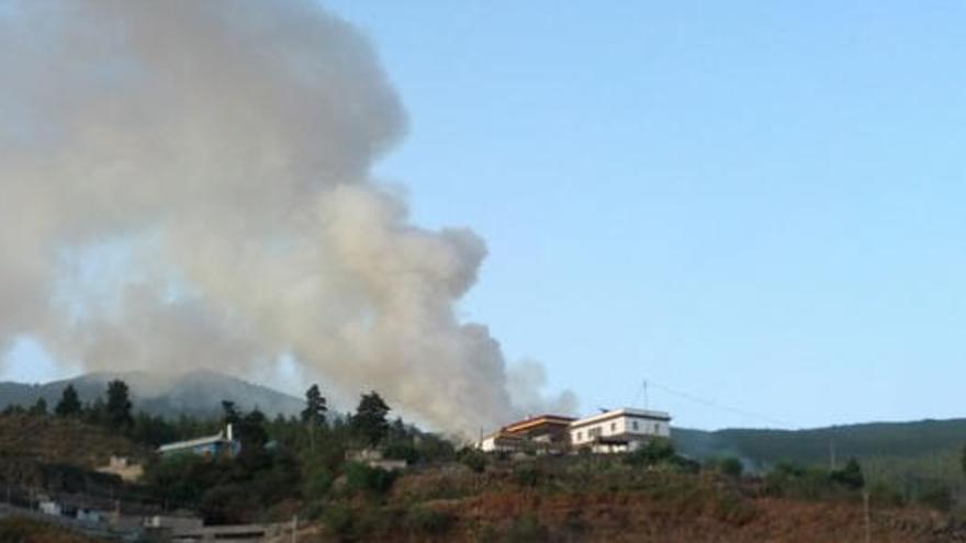 Los conatos se registraron en los municipios de La Orotava y Los Realejos esta madrugada.