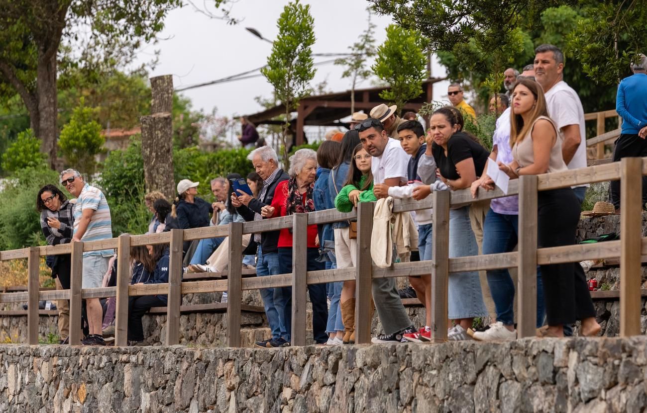 Carrera de caballos III Copa San Vicente Ferrer en Valleseco