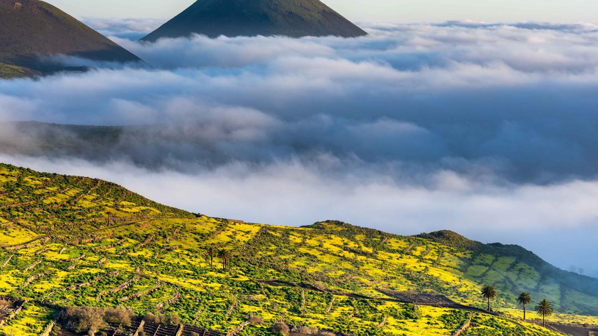 Mar de nubes en Haría, en Lanzarote