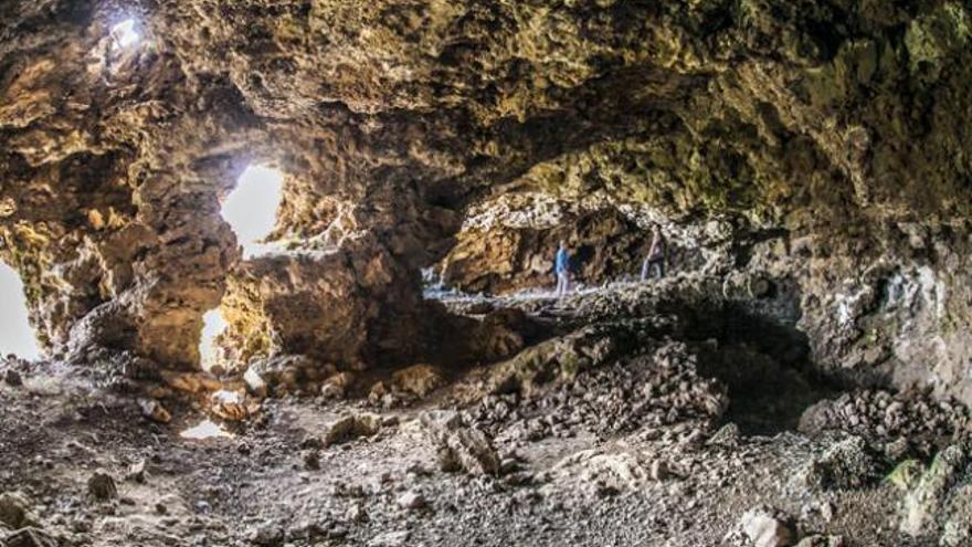 La selva perdida de La Montañeta