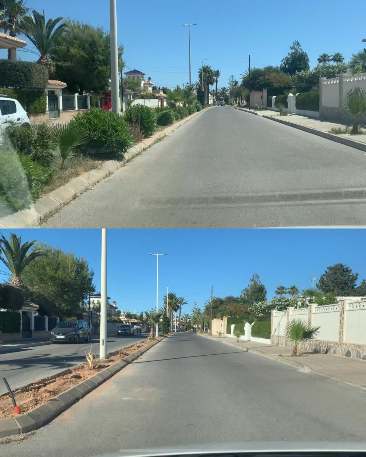 La tala que ha encendido a los vecinos de Cabo Roig en Orihuela Costa