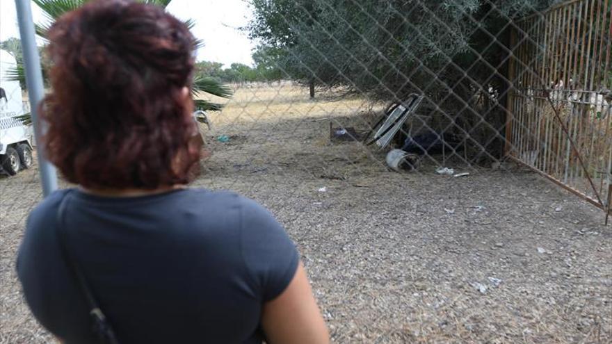 Hallan el cadáver de un hombre en una parcela próxima al puente de Andalucía