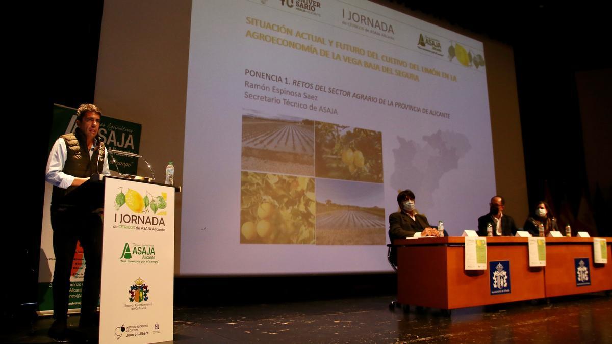 Carlos Mazón, en un momento de su ponencia en la jornada del limón