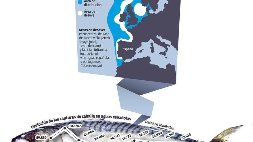 La flota gallega se enfrenta a un recorte del 42% en la cuota de caballa para 2019