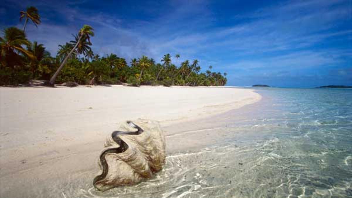 Concha gigante en la orilla de una de las playas de Aitutaki.