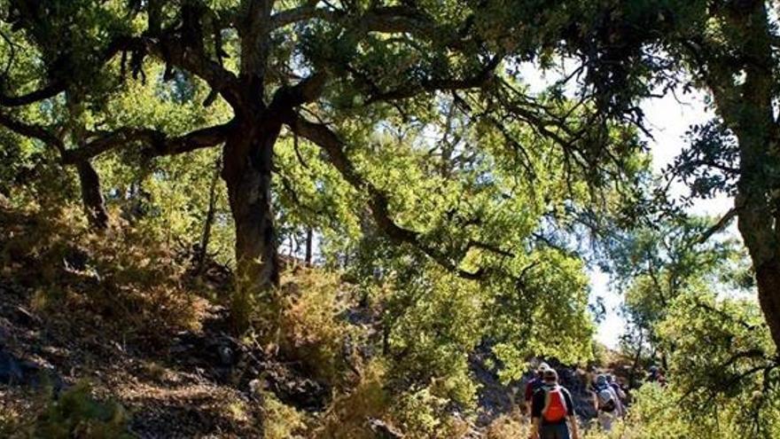 ‘castelló en ruta’ visita almedíjar el 16 d’octubre