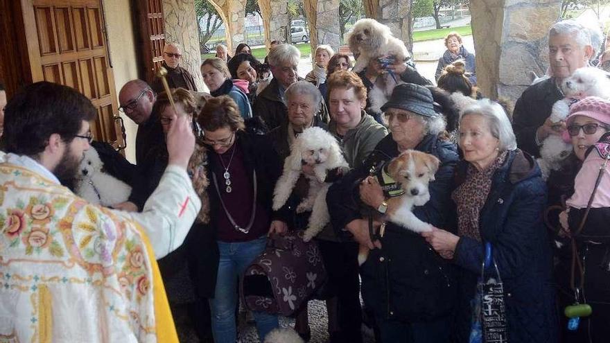 Bendición de los animales ante el templo de San José de Campolongo. // R.V.