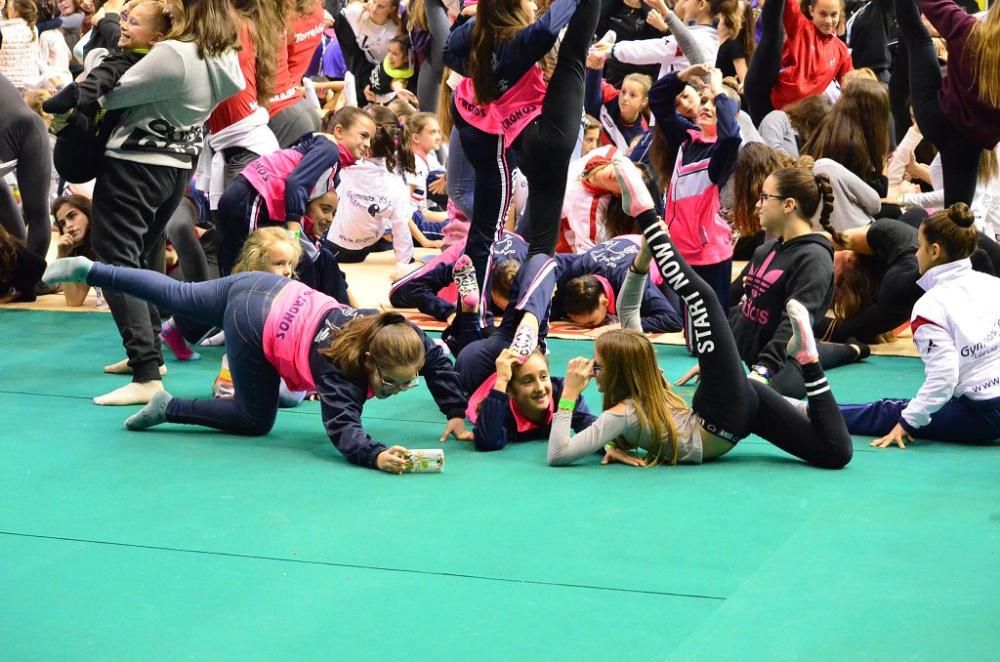 Campeonato de Gimnasia Rítmica: domingo mañana... ¡con Mannequin Challence incluido!