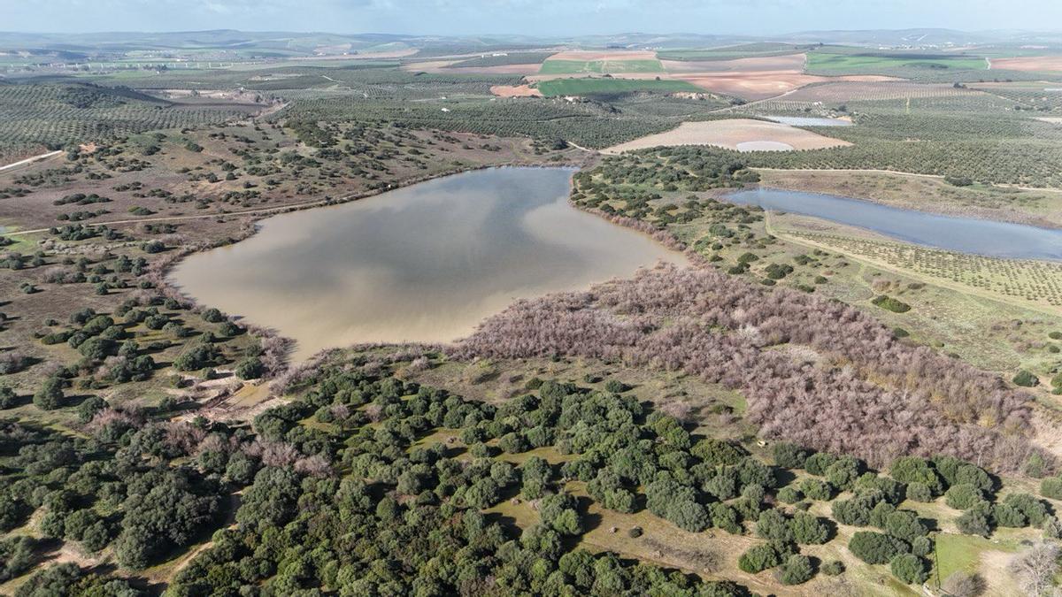 Las lagunas del Sur de Córdoba, a vista de pájaro