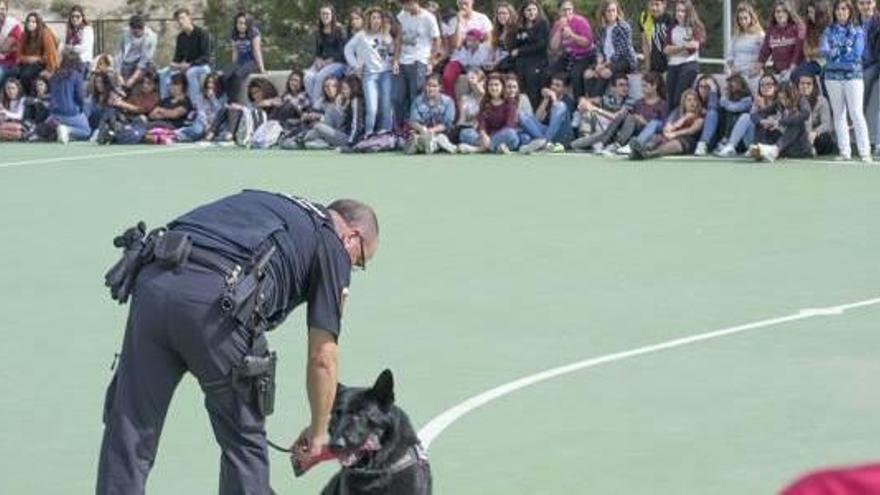 Exhibición canina contra las drogas en Xixona