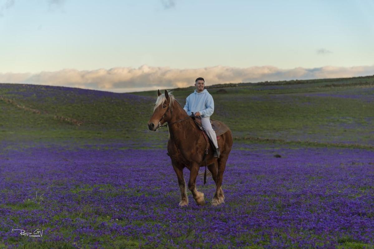 Un manto de flores lilas tapiza el sur de Lanzarote tras las lluvias