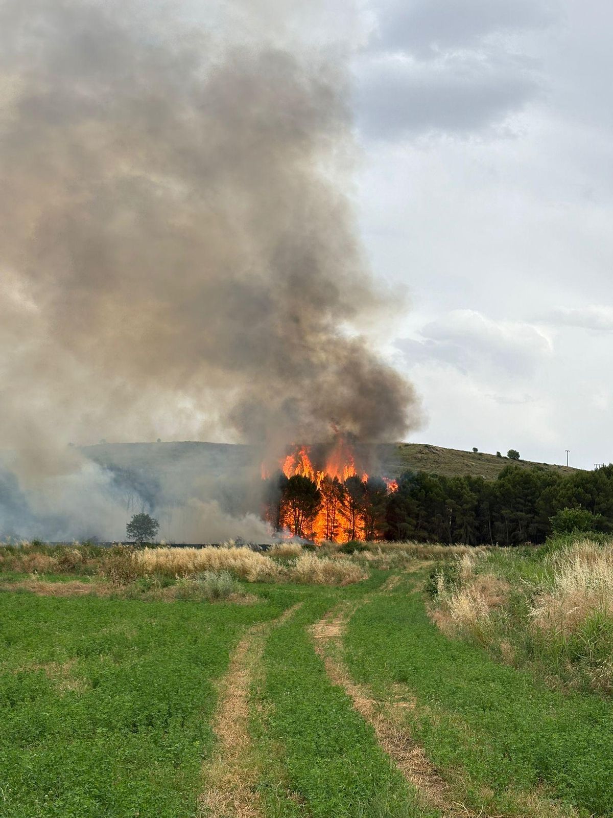 Incendio en Sádaba, el pasado domingo.