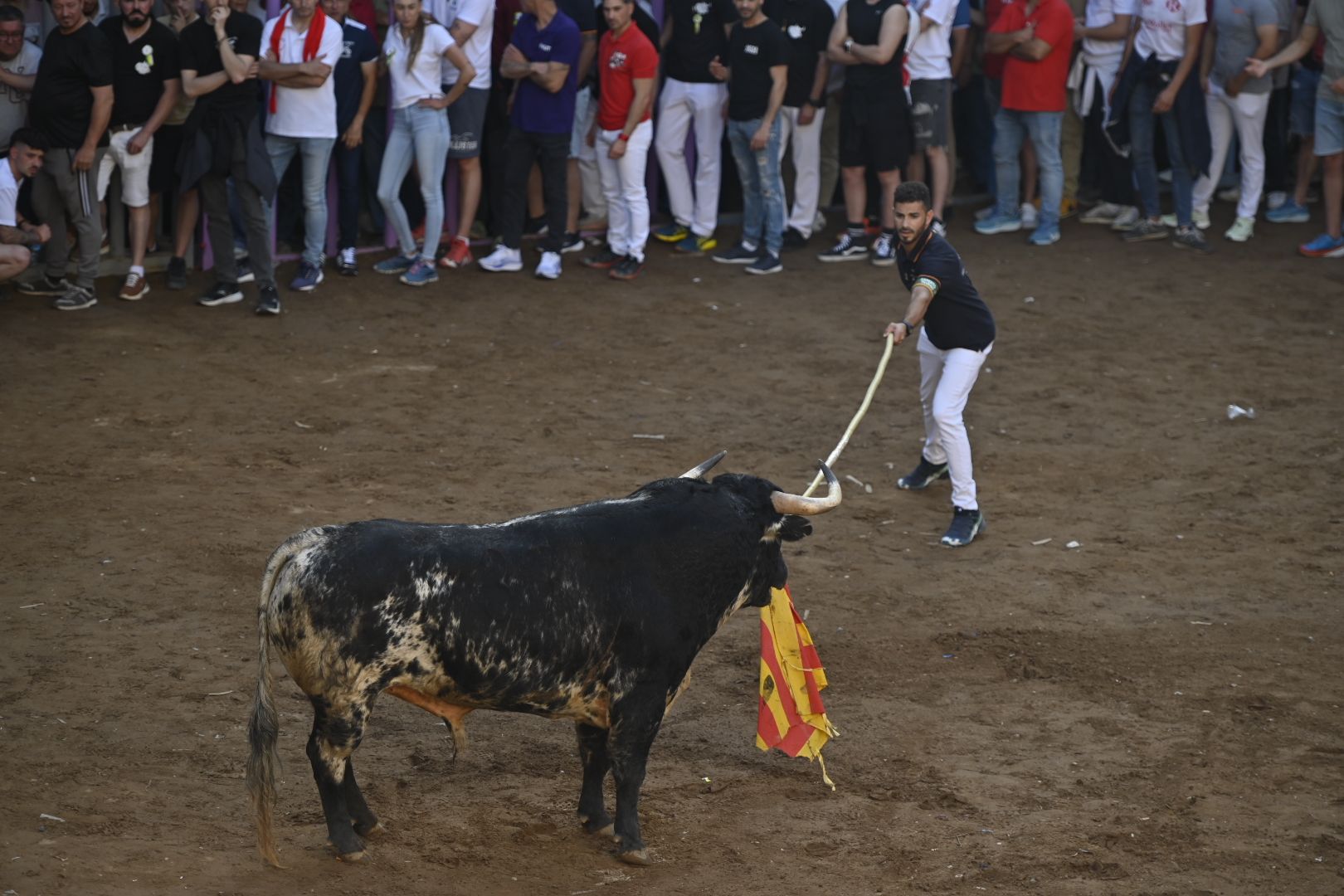Galería | Primera tarde de toros en Almassora