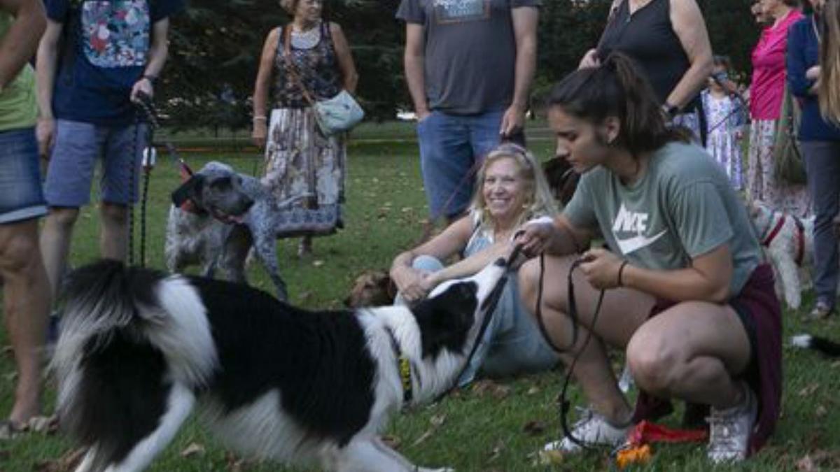 Los dueños de perros, de la nueva norma: &quot;Suma prohibiciones sin nada a cambio&quot;