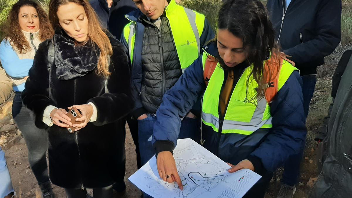 Una técnica explica las actuaciones previstas en el bosque de Bellver para la delimitación y supresión de caminos.