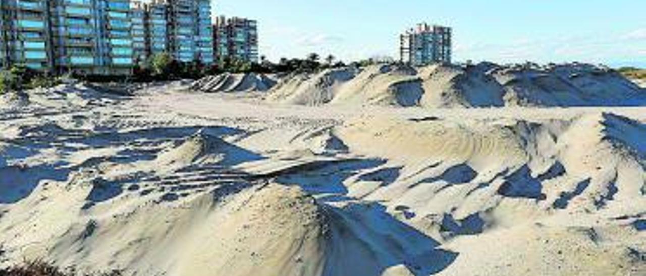 Plano del posicionamiento de las dunas en la Garrofera. | LEVANTE-EMV