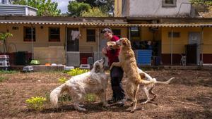 Perros y gatos en la Lliga protectora danimals de Sabadell. Las protectoras de animales estan saturadas, solo en España, cada dia recogen 785 animales, 33 cada hora.