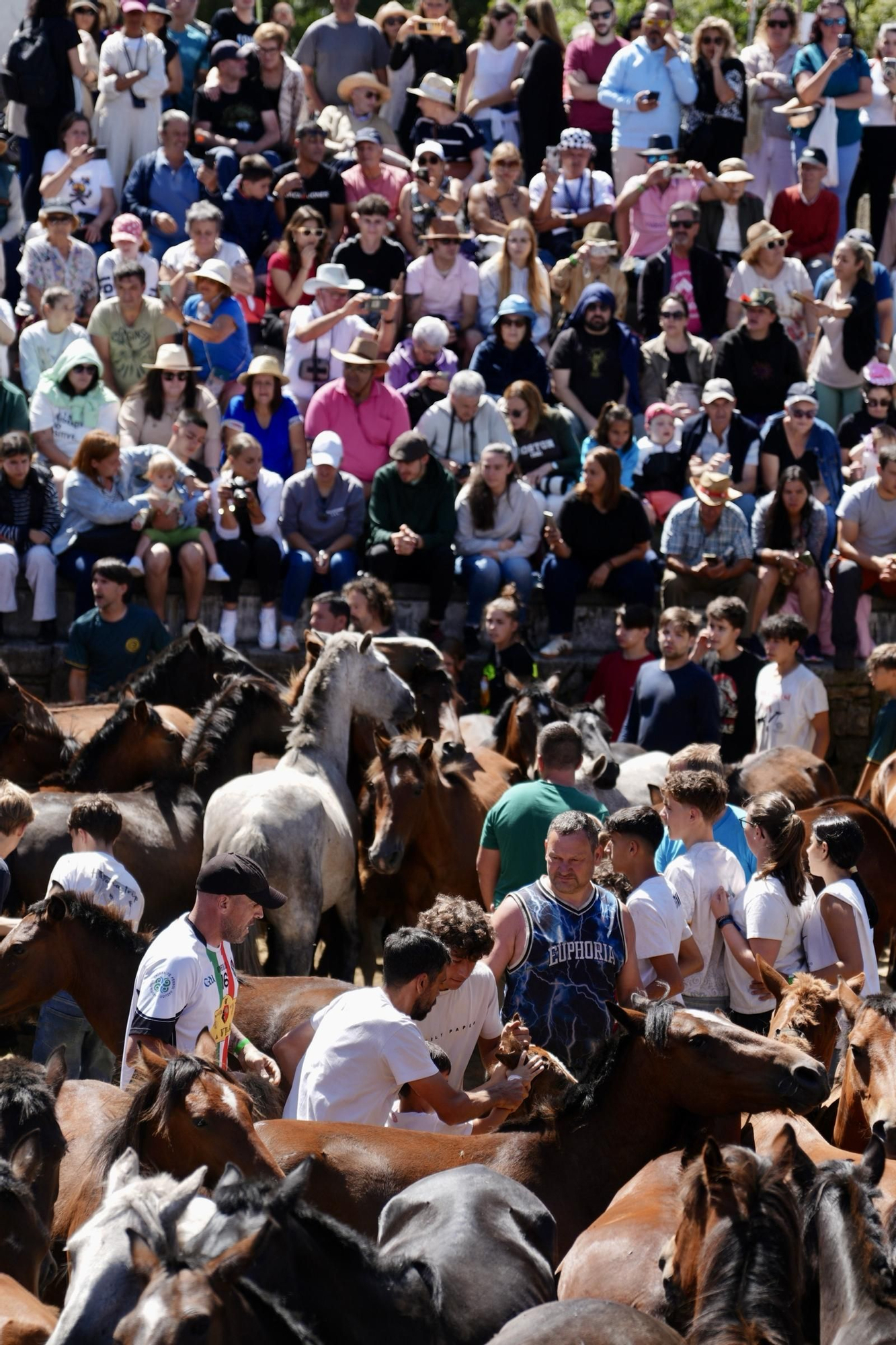 Las espectaculares imágenes que nos deja este lunes de Rapa que se despide con lleno y 160 medios acreditados de 13 países