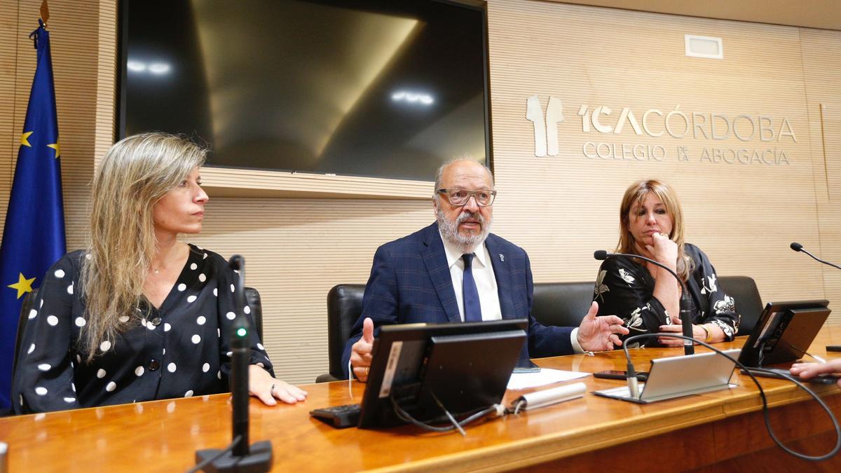 Carlos Arias, presidente del Colegio de la Abogacía, en rueda de prensa este miércoles.