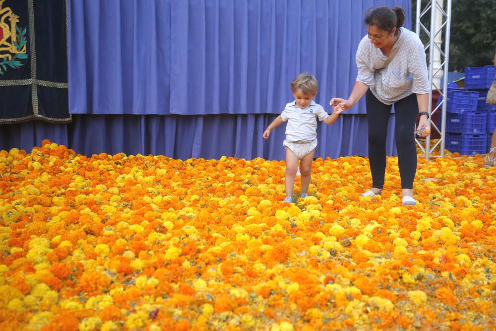 Batalla de Flores 2017